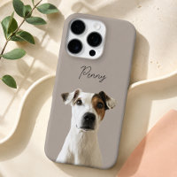 Photo de chien moderne Taupe chaud et nom de l'ani