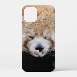 coque iphone Photo panda géant, animaux.
