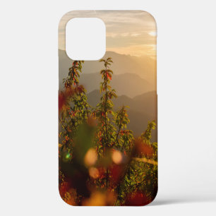 Coque iPhone 12 Photographie de la nature d'arbres verts surplomba