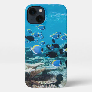 Etui iPhone 13 Plages tropicales   Esturgeon Parmi le corail