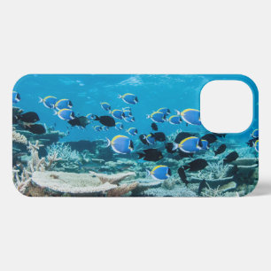 Etui iPhone 13 Plages tropicales   Esturgeon Parmi le corail