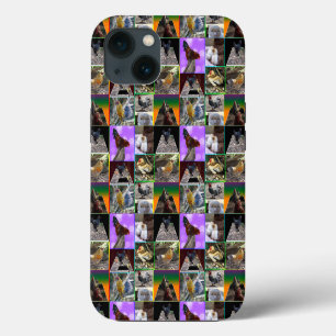 Etui iPhone 13 Plumes au point de mire : Un collage de poules et