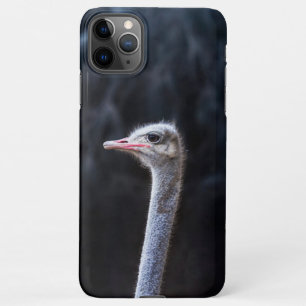 Coque iPhone 11Pro Max portrait d'autruche