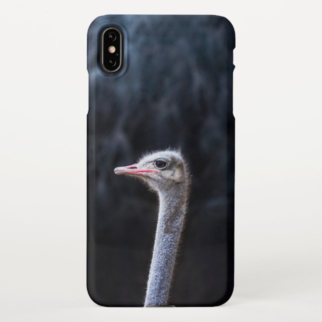 Coque iPhone portrait d'autruche (Dos)
