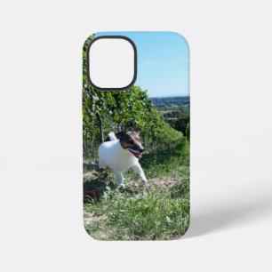 Coque iPhone 12 Mini Tête de Capo von Oppenheim Terrier Jack Russell, C