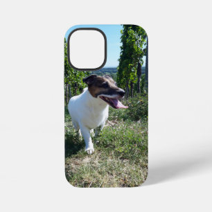 Coque iPhone 12 Mini Tête de Capo von Oppenheim Terrier Jack Russell, C