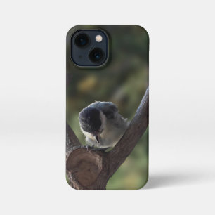 Etui iPhone 13 Mini Tidi my Bird le Parus Major