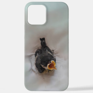 Coque iPhone 12 Pro Max Tidi my Bird le Parus Major