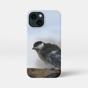 Etui iPhone 13 Mini Tidi my Bird le Parus Major