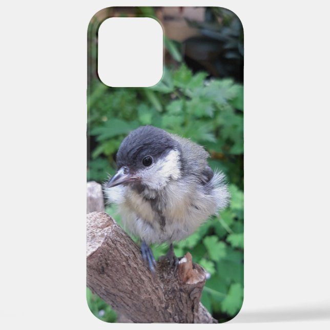Coque iPhone Tidi my Bird le Parus Major (Verso)