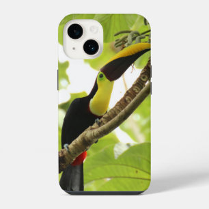 Coque Pour iPhone 14 Toucan de Swainson Oiseau Exotique