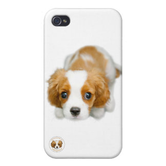 Étui iPhone 4/4S Une caisse blanche très cavalière de l'iphone 4/4s