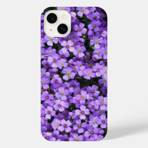 Violet Fleurs de printemps Violets