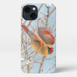 Etui iPhone 13 Vol Cardinal Nord - Photo originale