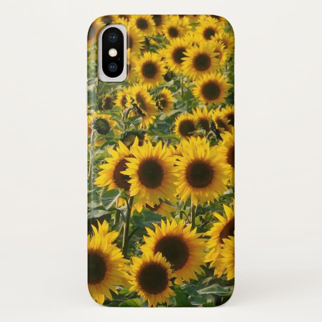 Coque iPhone X Coque iphone ensoleillé de tournesols (Dos)