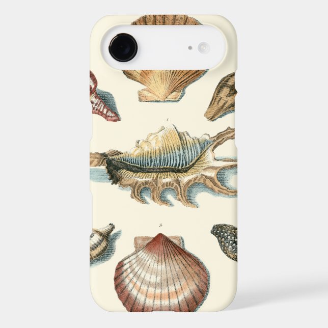 Coque iPod Touch 5G Plage de Shell soignée (Verso)