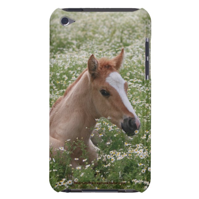 Coque iPod Touch Juste se reposant (Dos)