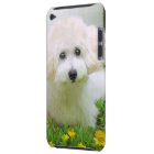 Votre photo sur le contact d'iPod