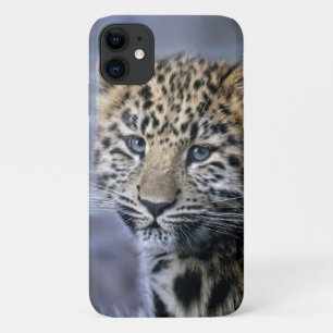 Coque Leopard Cub iPhone 11