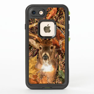 Buck Camouflage White Tail Deer