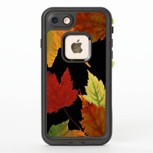 Couleurs d'automne brillantes Feuilles d'érable
