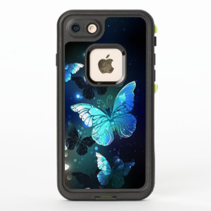 Papillon de nuit