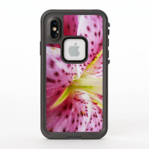 Stargazer Lily brillant Magenta Floral
