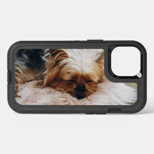 Animaux de bébés cutest   Yorkshire Terrier