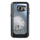 Dollar de sable sur la plage | Île de Sanibel, Flo