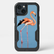 Promenade du lac aux flamants roses | Oiseaux