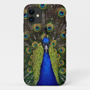 Coque Peacock iPhone5