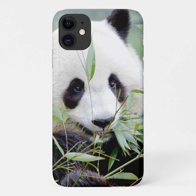 Coque Photo géant panda, panda gant, animaux. (Dos)
