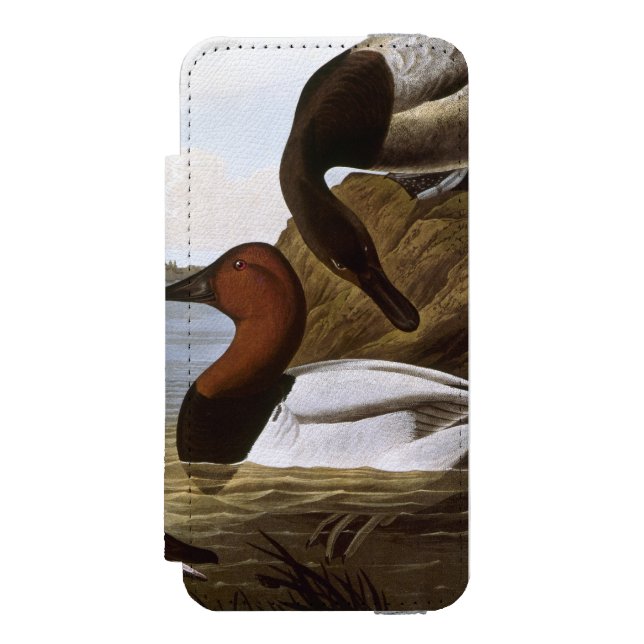 Coque Portefeuille Incipio Pour iPhone Audubon : Canvasback (Folio Devant)