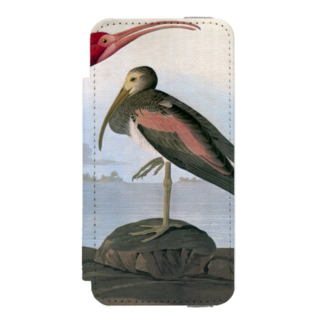 Coque Portefeuille Incipio Pour iPhone Audubon : Écarlate IBIS (Folio Devant)