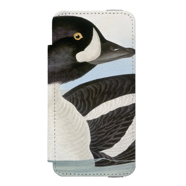 Coque Portefeuille Incipio Pour iPhone Audubon : Le Goldeneye de la brouette (Folio Devant)