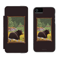 Ours noir dans la forêt - Idaho