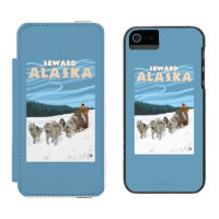 Scène Sledding de chien - Seward, Alaska