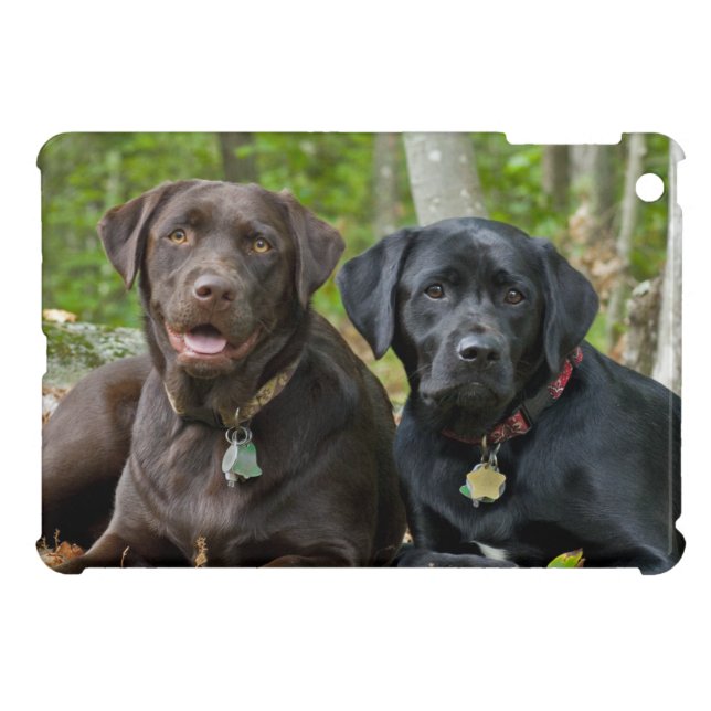 Coque Pour iPad Mini Côté Labrador Retriever Dogs Dehors (Dos Horizontal)