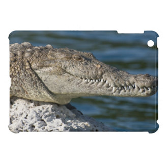 Coque Pour iPad Mini Crocodile américain