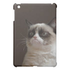 Éclat grincheux de chat