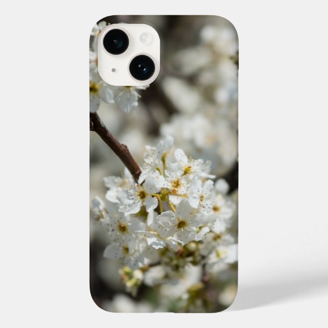 Coque Pour iPhone 14 Bradford Select Focus coque iphone (Verso)