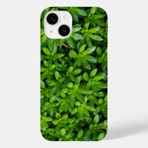Coque Pour iPhone 14 Coque iphone Abstrait Moss