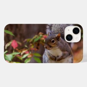 Coque Pour iPhone 14 L'écureuil commence avec patience le coque iphone