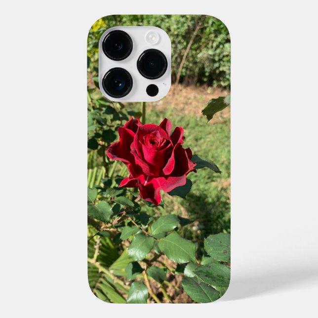 Coque Pour iPhone 14 Pro Coque Deep Red Rose iPhone 14 Pro (Verso)