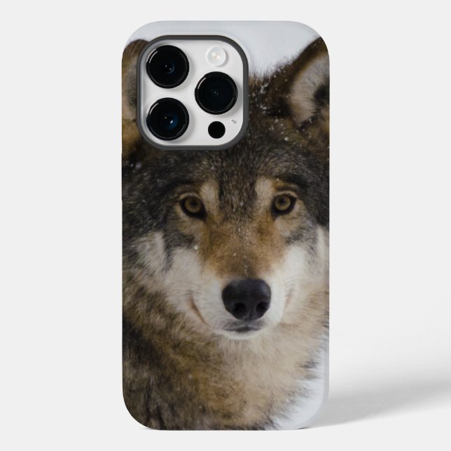 Coque Pour iPhone 14 Pro Wolf Face iPhone / coque ipad (Verso)