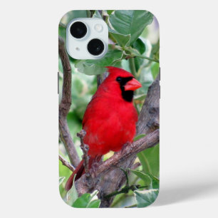 Coque Pour iPhone 15 Cardinal iPhone / coque ipad