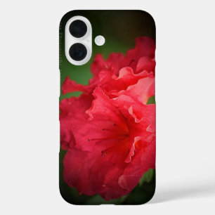 Coque Pour iPhone 16 Belle Fleur Rouge * Coque-Mate coque iphone