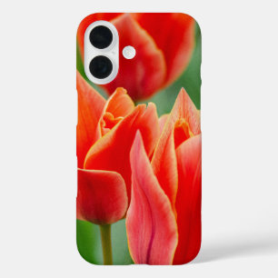 Coque Pour iPhone 16 Coque iPhone 16 Tulipes Orange Rouge