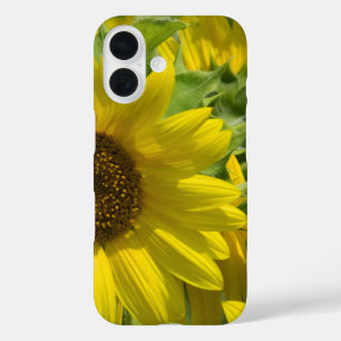 Coque Pour iPhone 16 Coque iphone du jardin de tournesol