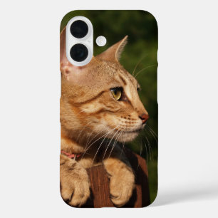 Coque Pour iPhone 16 Savannah coque iphone